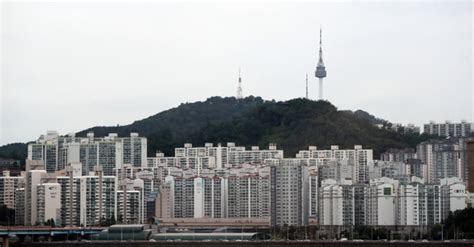 국내 인구 절반 수도권 거주3분의 1은 나 혼자 산다 한국경제